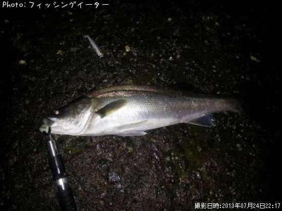 �����Х�