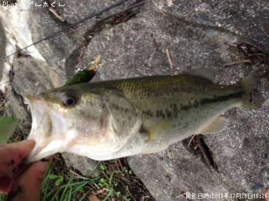 �֥�å��Х�