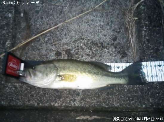 �֥�å��Х�