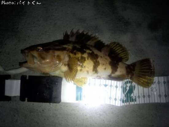 �����Υ���Х�