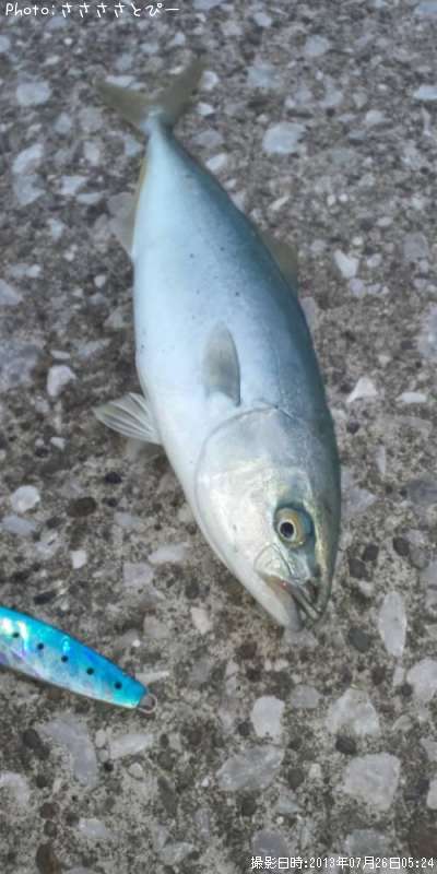 �參�������ޥ�