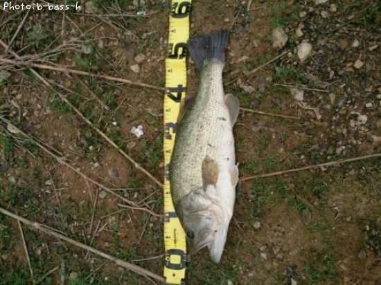 �֥�å��Х�