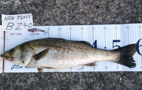 �����Х�