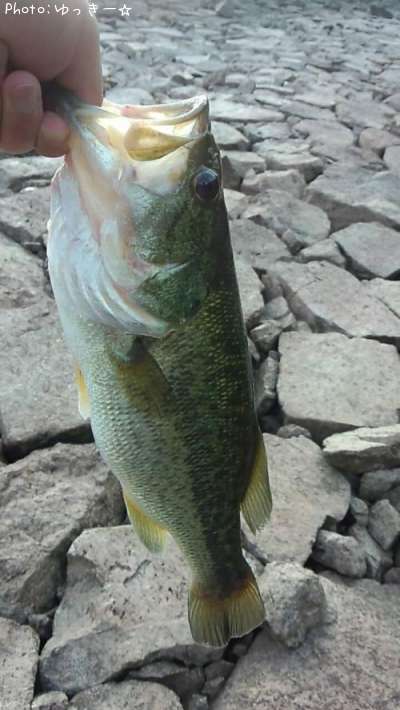 �֥�å��Х�