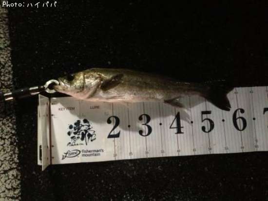 �����Х�