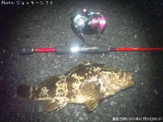 �٥å�������