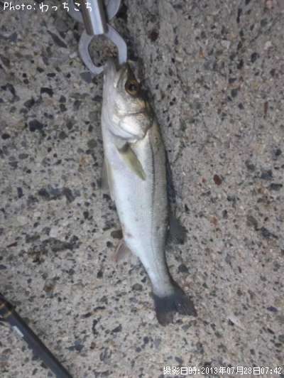 �����Х�