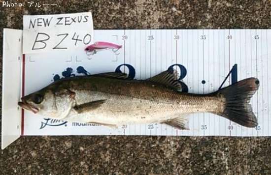 �����Х�