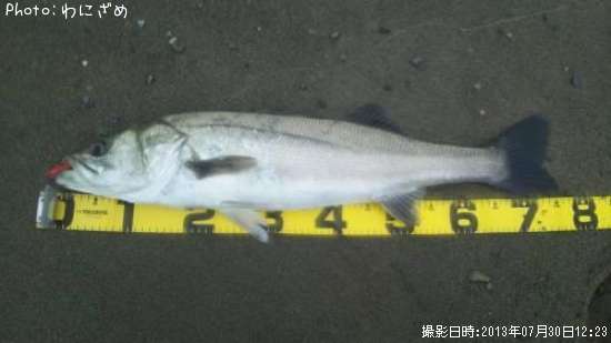 �����Х�