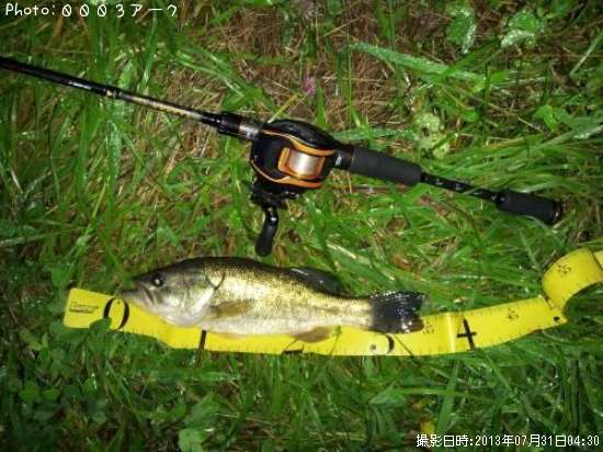 �֥�å��Х�