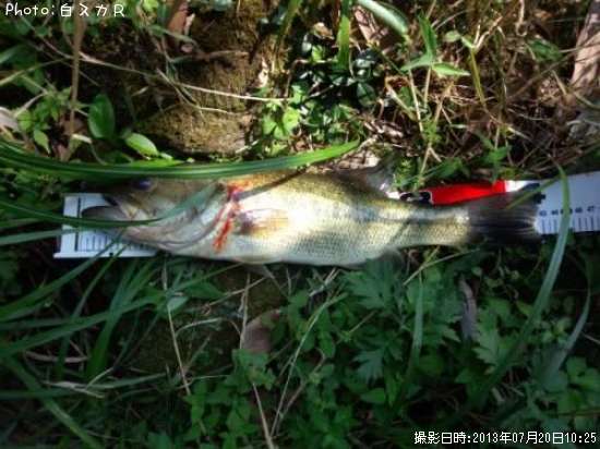 �顼���ޥ����Х�