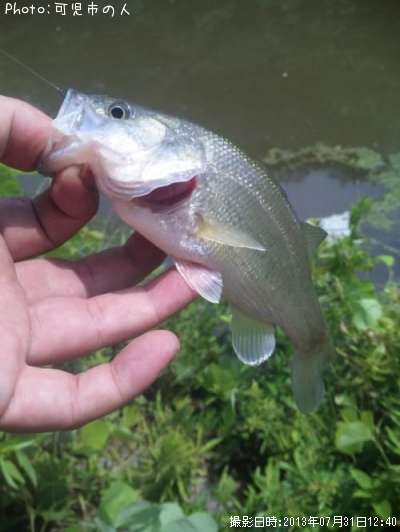 �֥�å��Х�