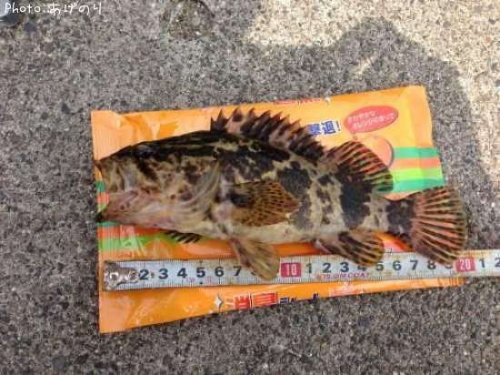 �����Υ���Х�