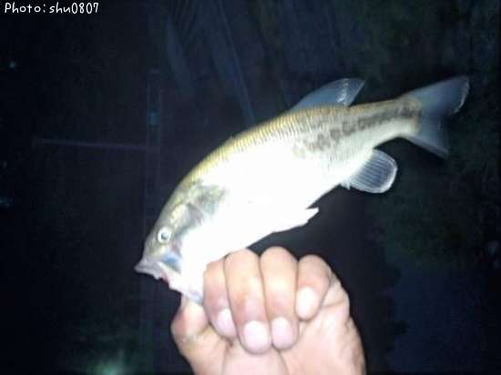 �֥�å��Х�