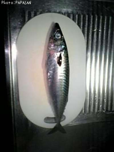 ���ޥ���