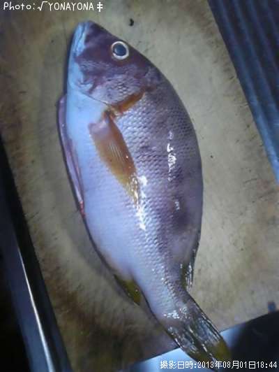 �ե�����