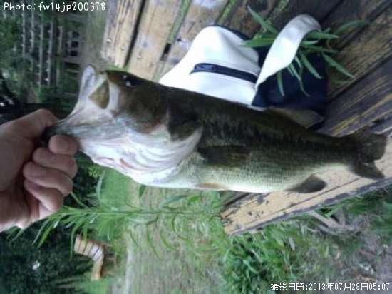 �֥�å��Х�