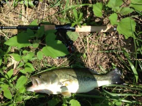 �֥�å��Х�