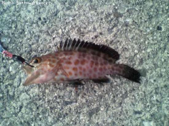 �������ϥ�