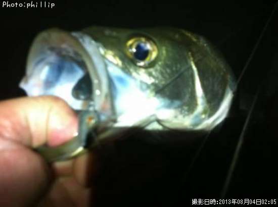 �����Х�