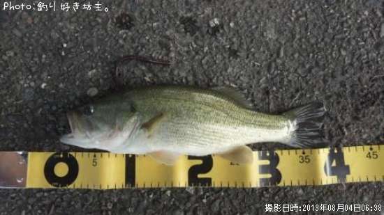 �֥�å��Х�