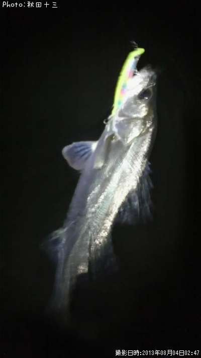 �����Х�