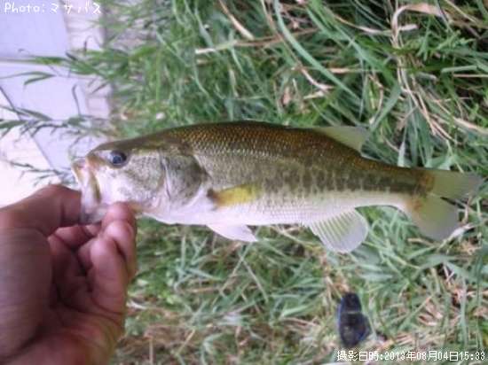 �֥�å��Х�