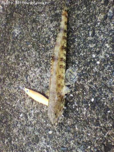 �ޥ��饨��