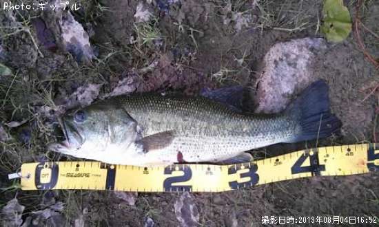 �֥�å��Х�