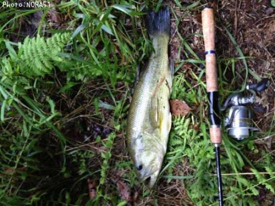 �֥�å��Х�