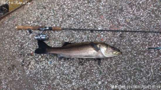 �����Х�