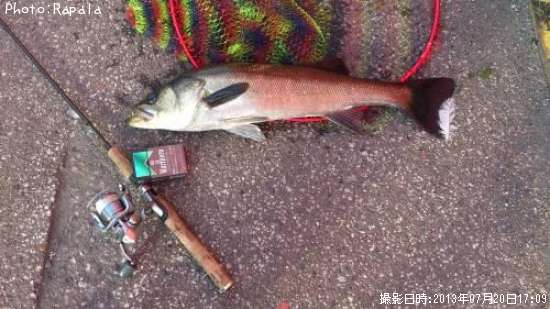 �����Х�