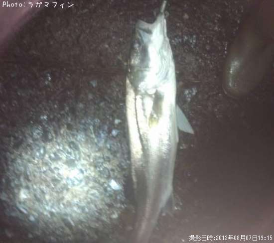 �����Х�