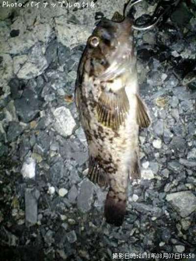 �٥å�������