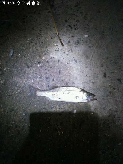 �����Х�