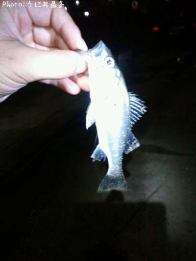 �����Х�