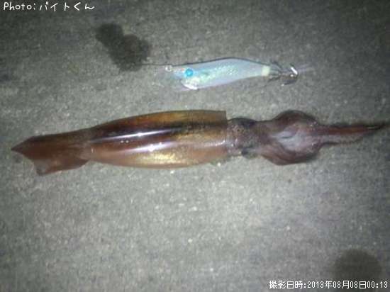 ����ᥤ��