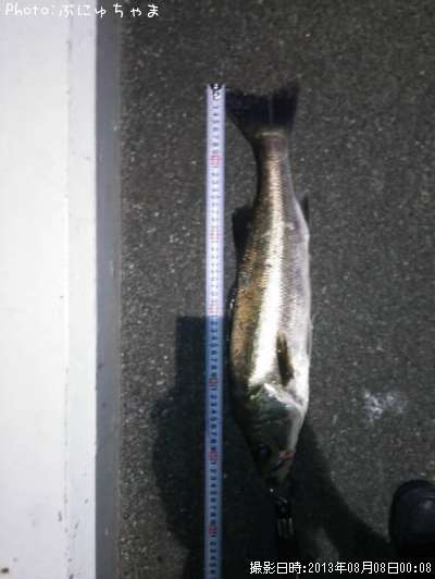 �����Х�