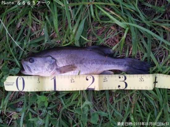 �֥�å��Х�