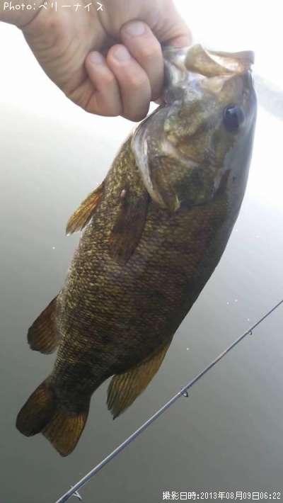 ���⡼��ޥ����Х�