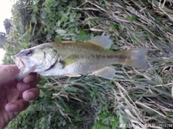 �֥�å��Х�