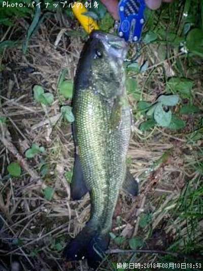 �֥�å��Х�