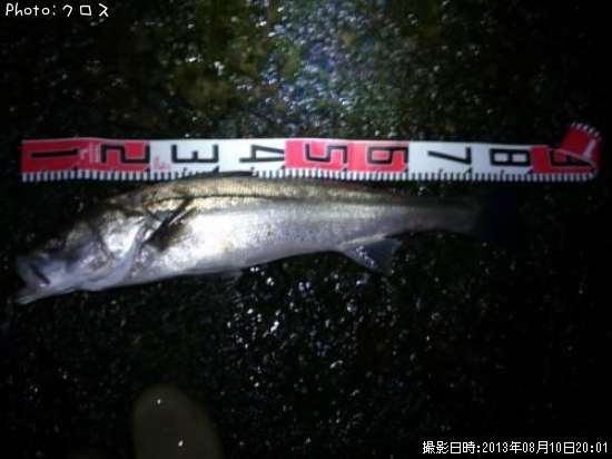 �����Х�