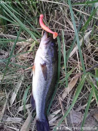 �顼���ޥ���