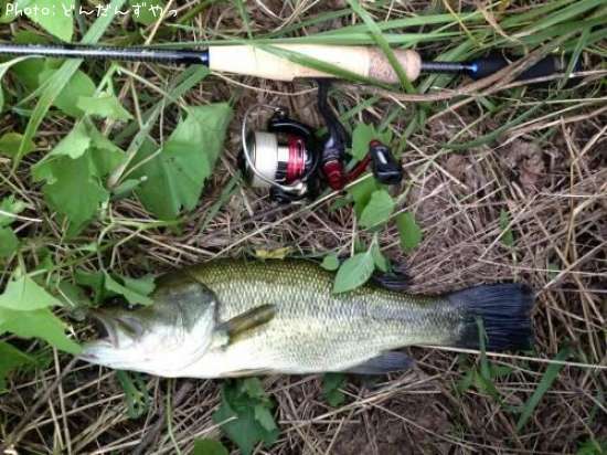 �֥�å��Х�