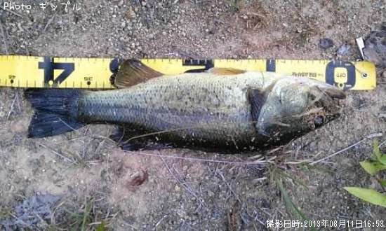 �֥�å��Х�