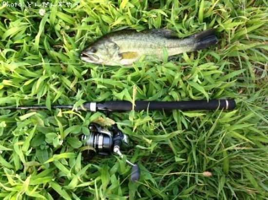 �֥�å��Х�