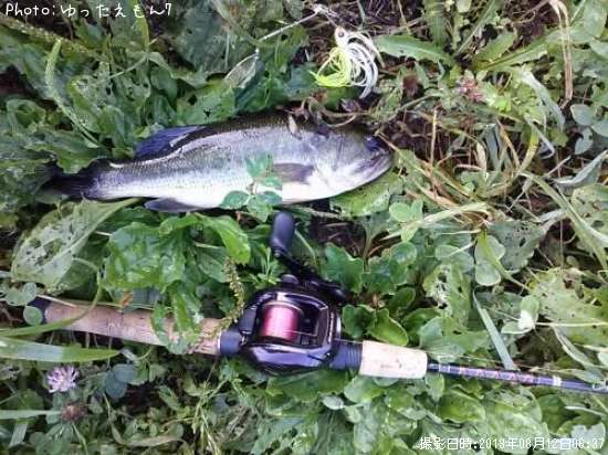 �֥�å��Х�