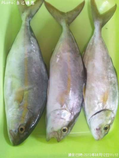 ���祴�ߣ�