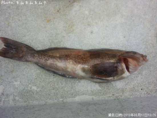 �����ʥ�